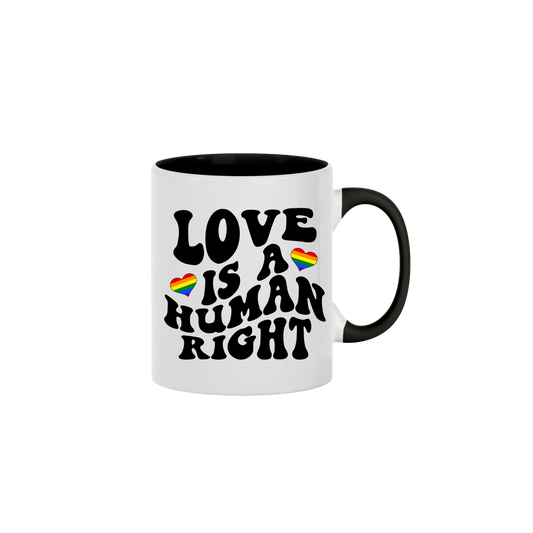 "Love is a Human Right" Mug