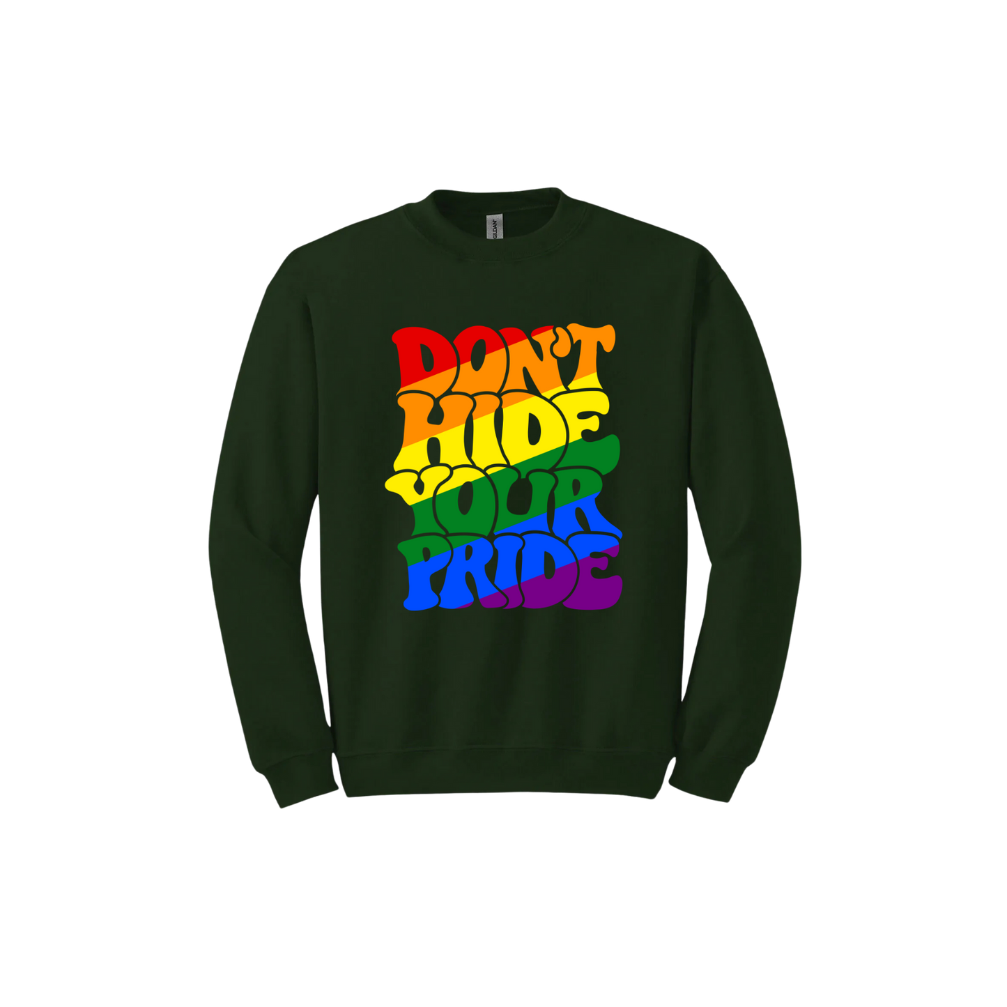 "Don't Hide Your Pride" Unisex Sweatshirt